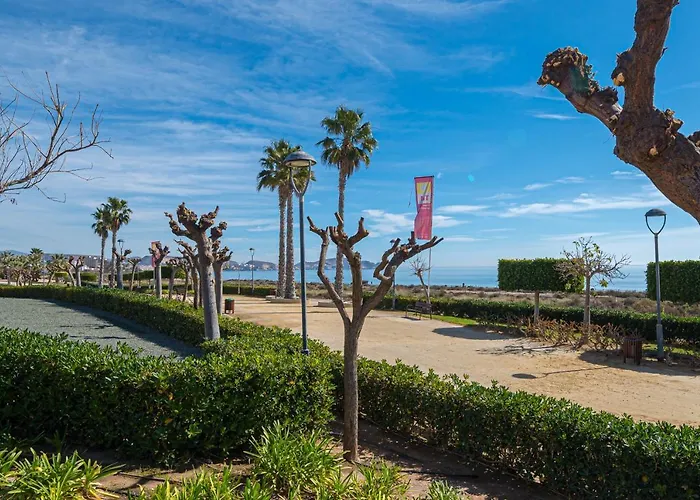 Orquidea * San Juan de los Terreros