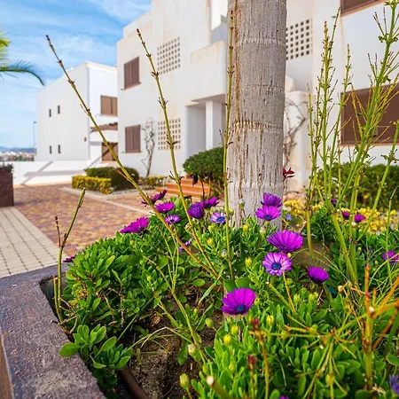 Orquidea * San Juan de los Terreros